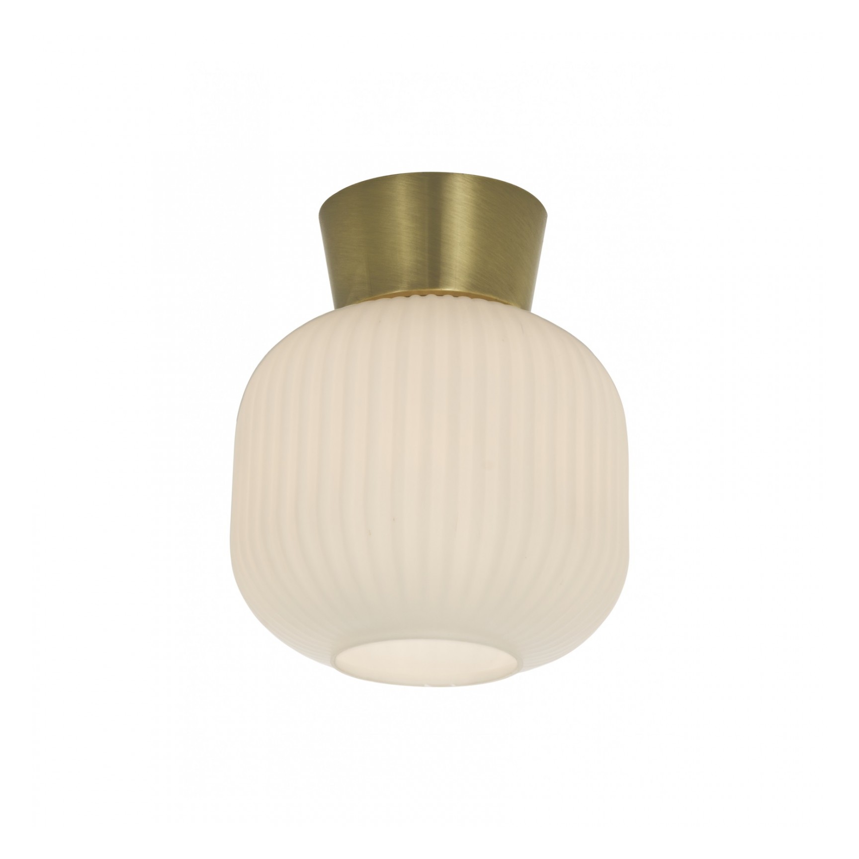 VANJA MATT MÄSSING/VIT