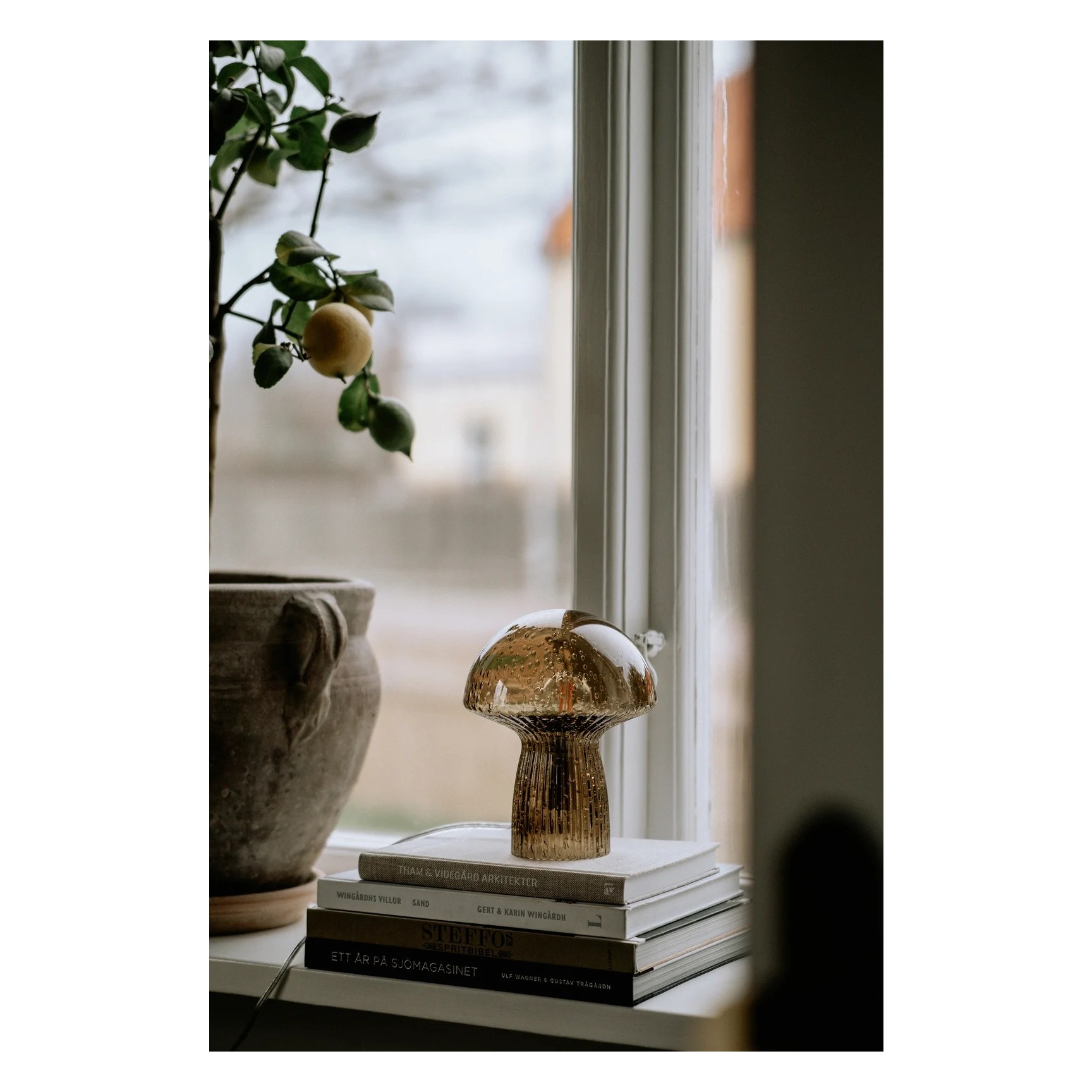 Fungo 16 Special Edition Bordslampa Brun