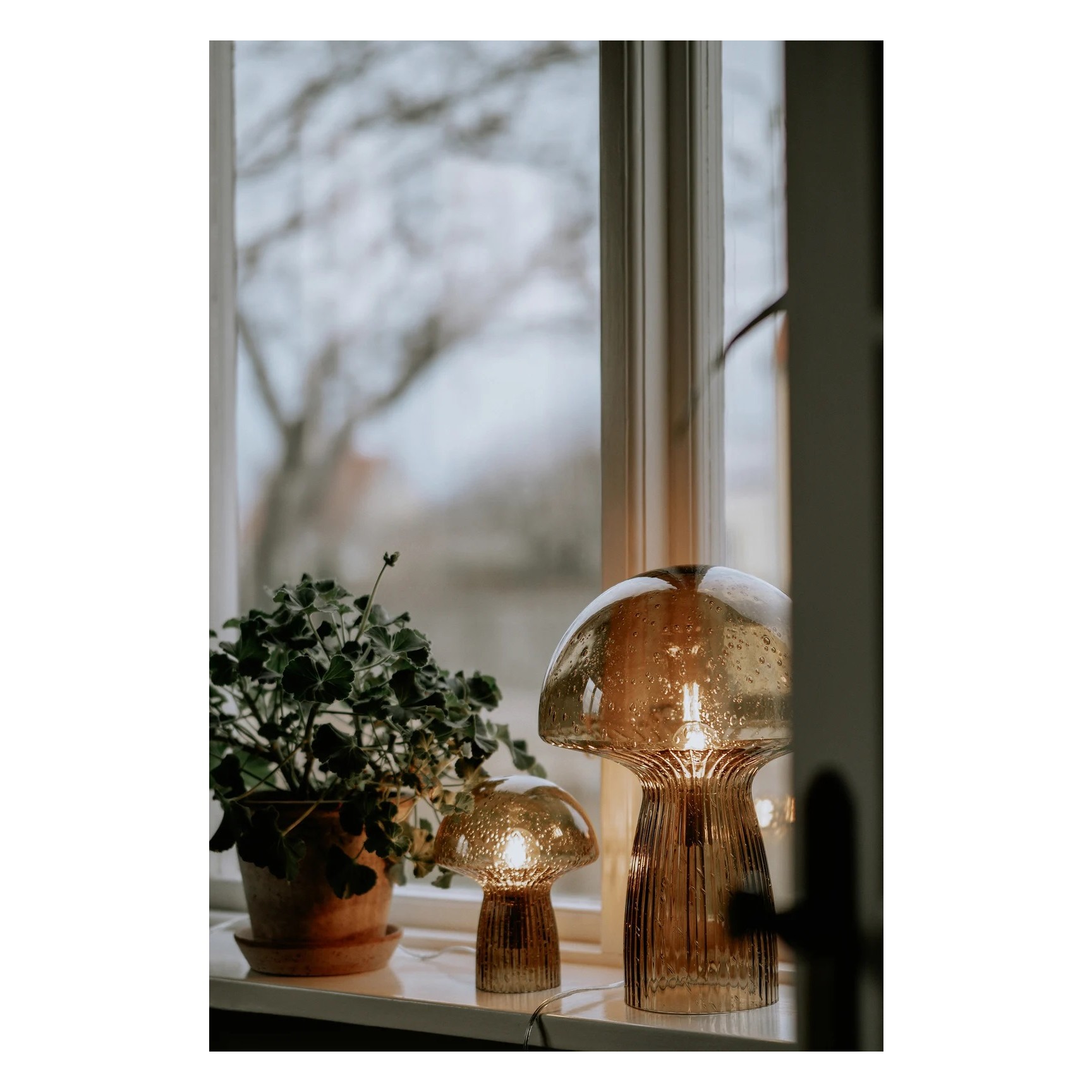 Fungo 16 Special Edition Bordslampa Brun
