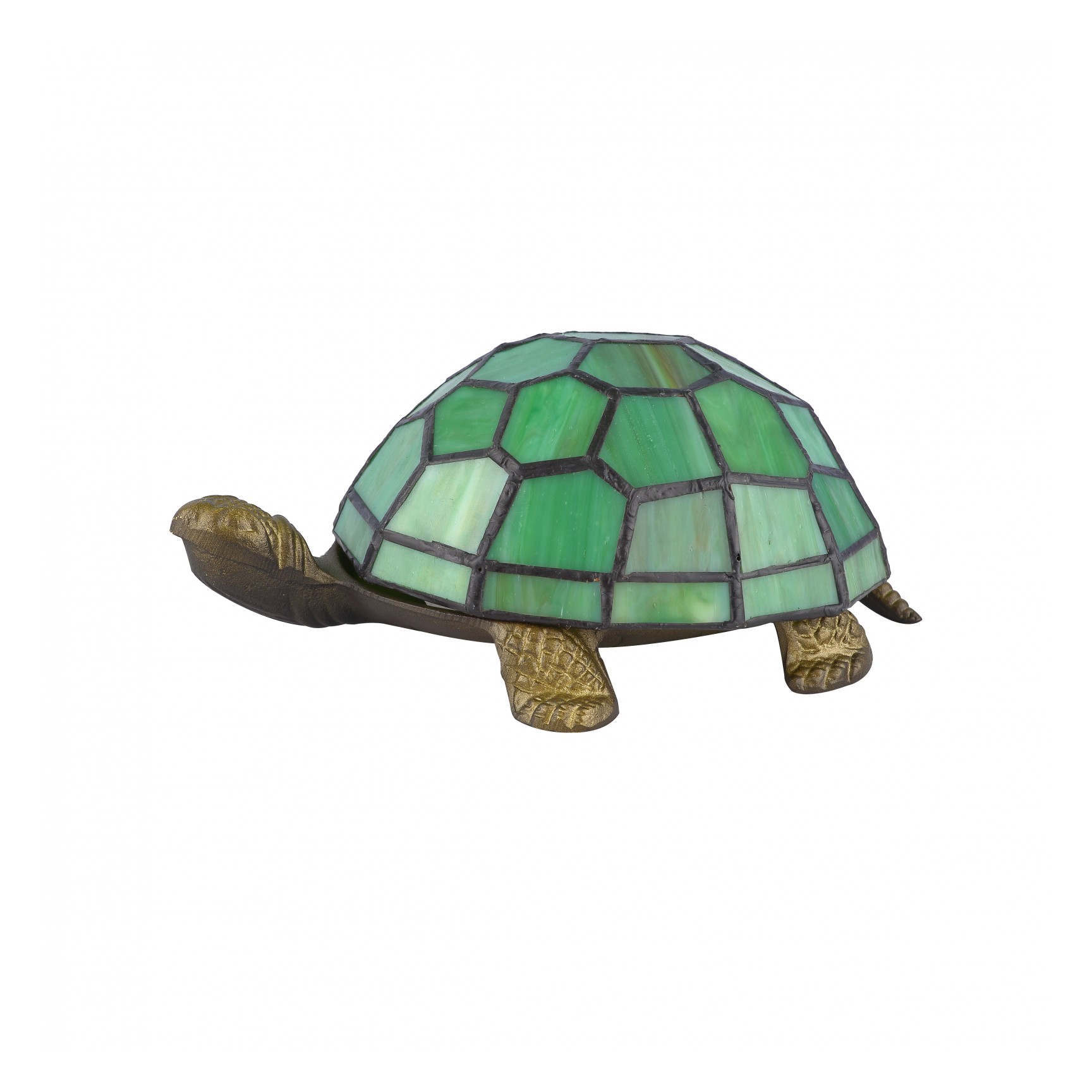 SKÖLDPADDA